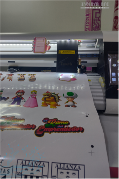 TNS24CCD motor servo